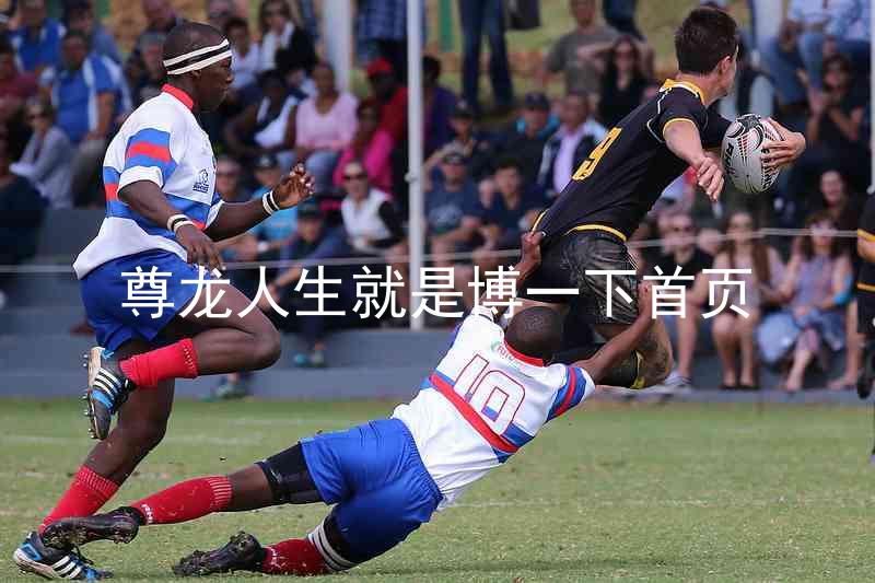 尊龙人生就是博一下首页